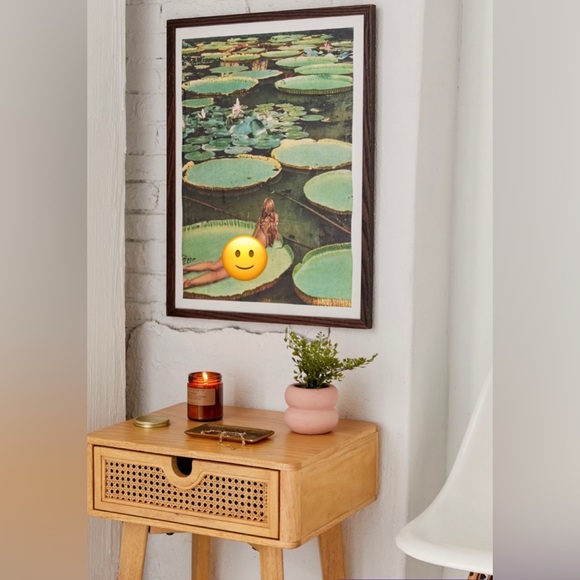 Brand New In Box Framed Beth Hoeckel Lily Pond ART Print FROM URBAN OUTFITTERS - Picture 2 of 3